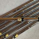Taylormade M6 5-PW+AW Irons | Dynamic Gold S300 Stiff Flex